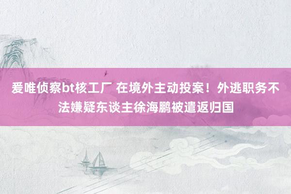 爰唯侦察bt核工厂 在境外主动投案！外逃职务不法嫌疑东谈主徐海鹏被遣返归国