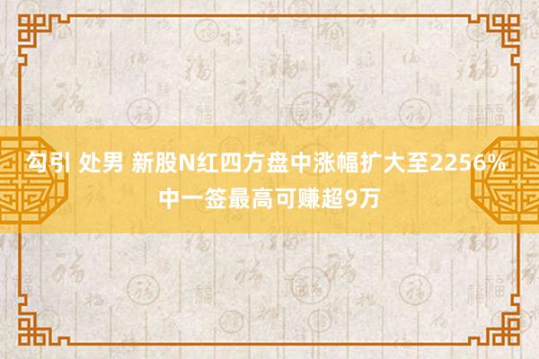勾引 处男 新股N红四方盘中涨幅扩大至2256% 中一签最高可赚超9万