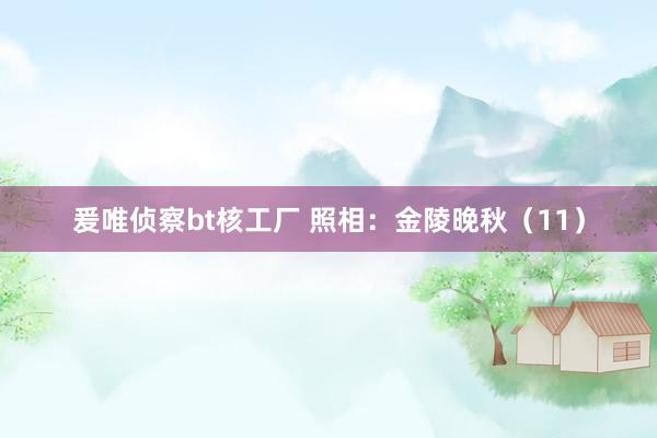 爰唯侦察bt核工厂 照相：金陵晚秋（11）