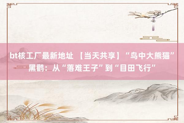 bt核工厂最新地址 【当天共享】“鸟中大熊猫”黑鹳：从“落难王子”到“目田飞行”
