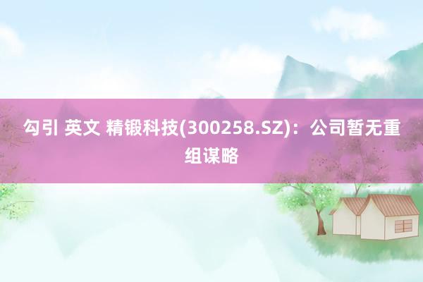 勾引 英文 精锻科技(300258.SZ)：公司暂无重组谋略