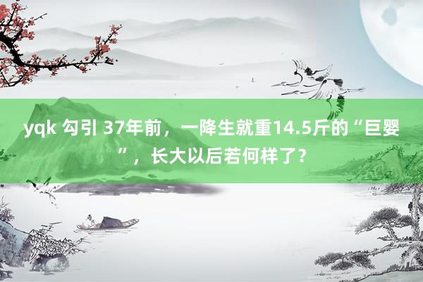 yqk 勾引 37年前，一降生就重14.5斤的“巨婴”，长大以后若何样了？