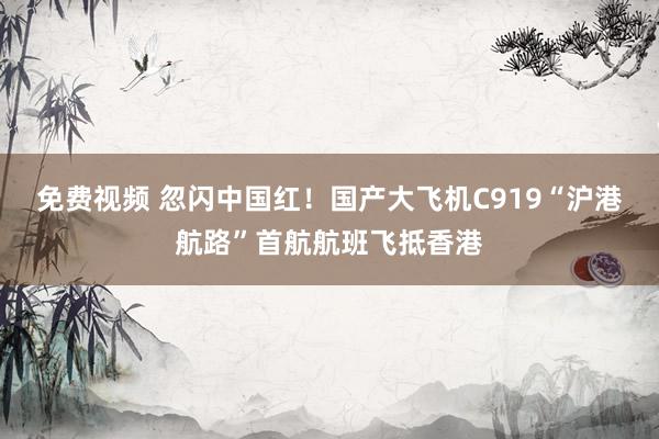 免费视频 忽闪中国红！国产大飞机C919“沪港航路”首航航班飞抵香港