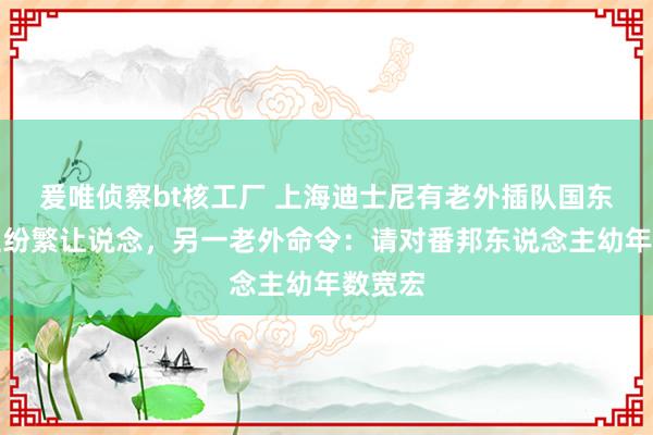 爰唯侦察bt核工厂 上海迪士尼有老外插队国东说念主纷繁让说念，另一老外命令：请对番邦东说念主幼年数宽宏