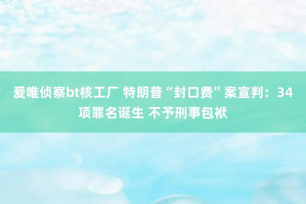 爰唯侦察bt核工厂 特朗普“封口费”案宣判：34项罪名诞生 不予刑事包袱