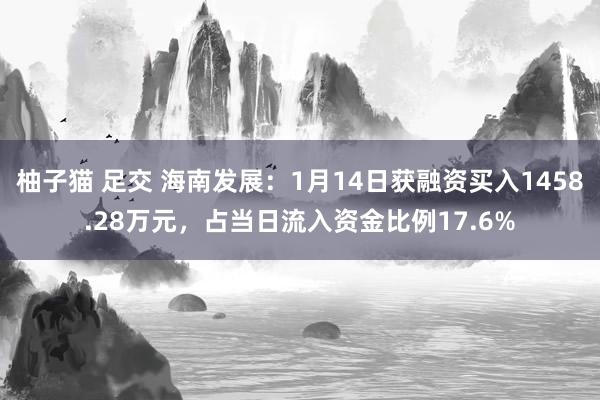 柚子猫 足交 海南发展：1月14日获融资买入1458.28万元，占当日流入资金比例17.6%