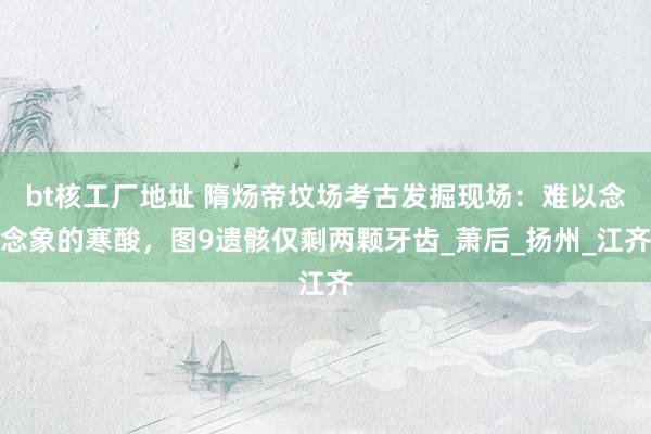 bt核工厂地址 隋炀帝坟场考古发掘现场：难以念念象的寒酸，图9遗骸仅剩两颗牙齿_萧后_扬州_江齐