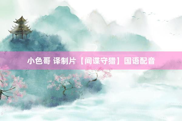 小色哥 译制片【间谍守猎】国语配音